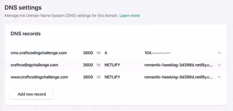 Netlify dns settings